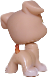 #0235 Boxer